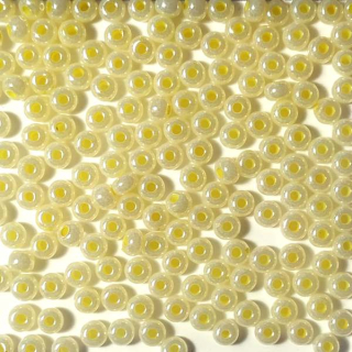 Rokajl 6/0 "07428" 20g/bal